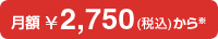 月額\2,500(税別)から※