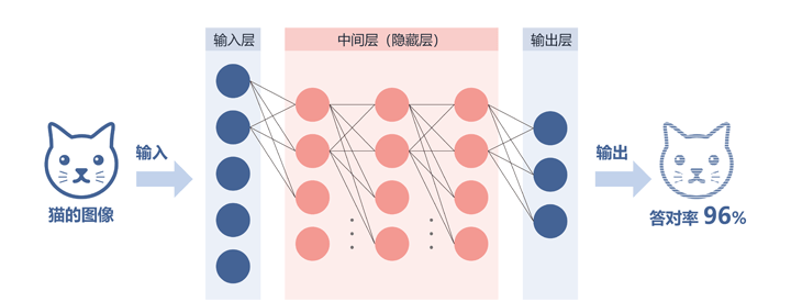 输入猫的图像  从输入层到中间层（隐藏层），从中间层（隐藏层）到输出层，依次处理数据  输出猫的图像 答对率96%