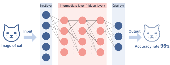 Input image of cat   Process data from the input layer to the intermediate layer (hidden layer) and from the intermediate layer (hidden layer) to the output layer   Output image of cat   Accuracy rate: 96%